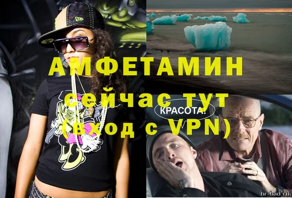 мдпв Пересвет