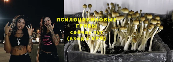 сатива Переславль-Залесский