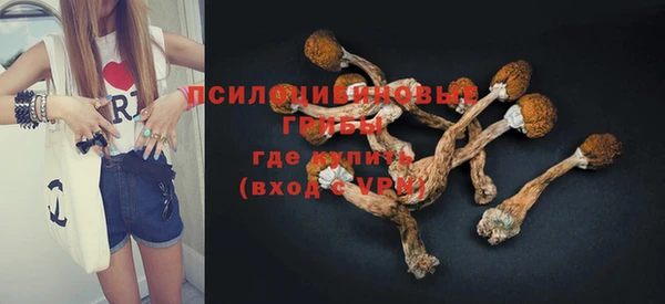 ECSTASY Пестово