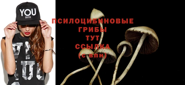 ECSTASY Пестово