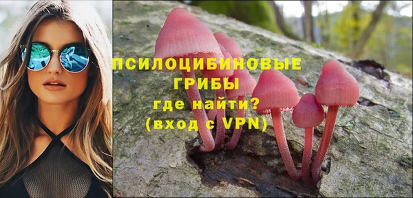 сатива Переславль-Залесский