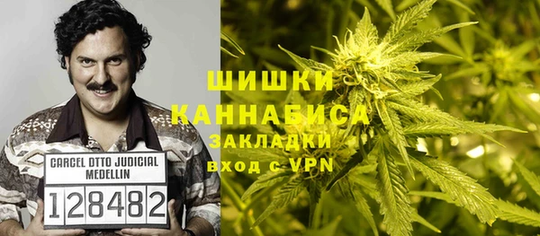сатива Переславль-Залесский