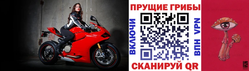 KRAKEN ссылки  Сольвычегодск  Галлюциногенные грибы ЛСД 